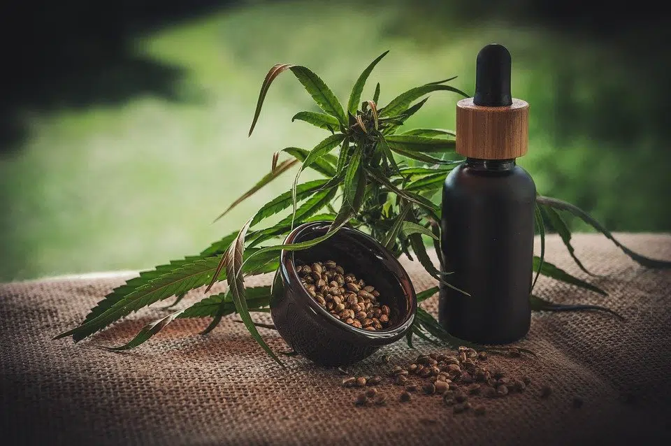 Quels sont les atouts et les usages du CBD ?