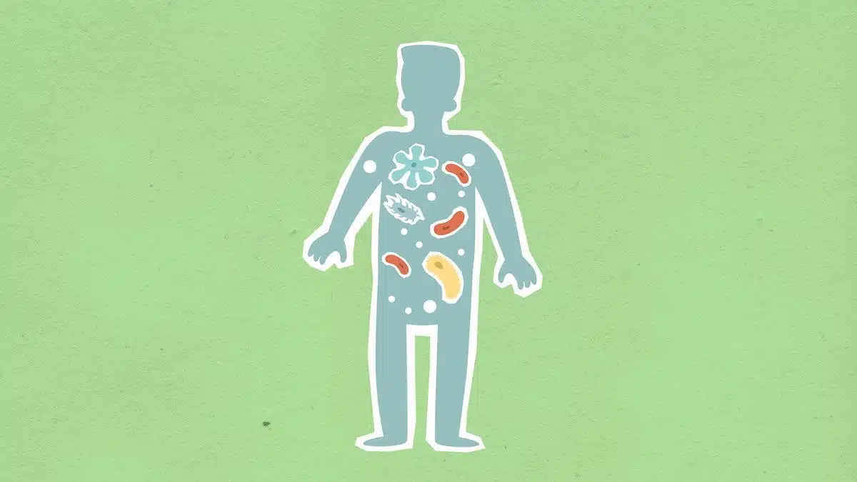 antibiotiques  résistance