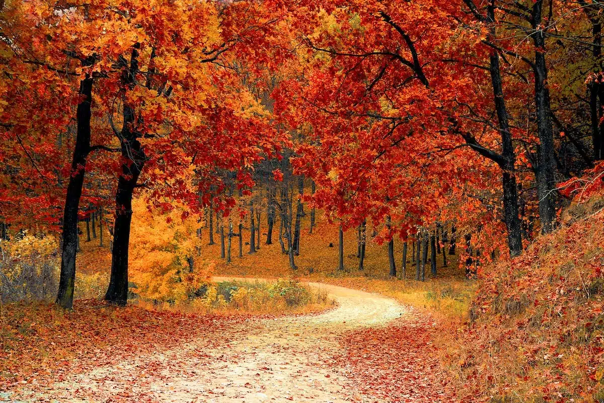 relaxation nature