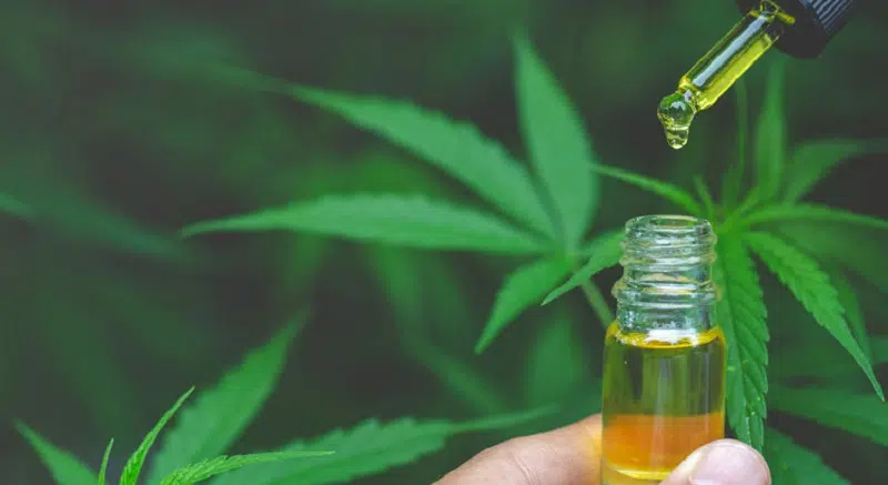 Acheter du CBD : utilisations, prix et bienfaits