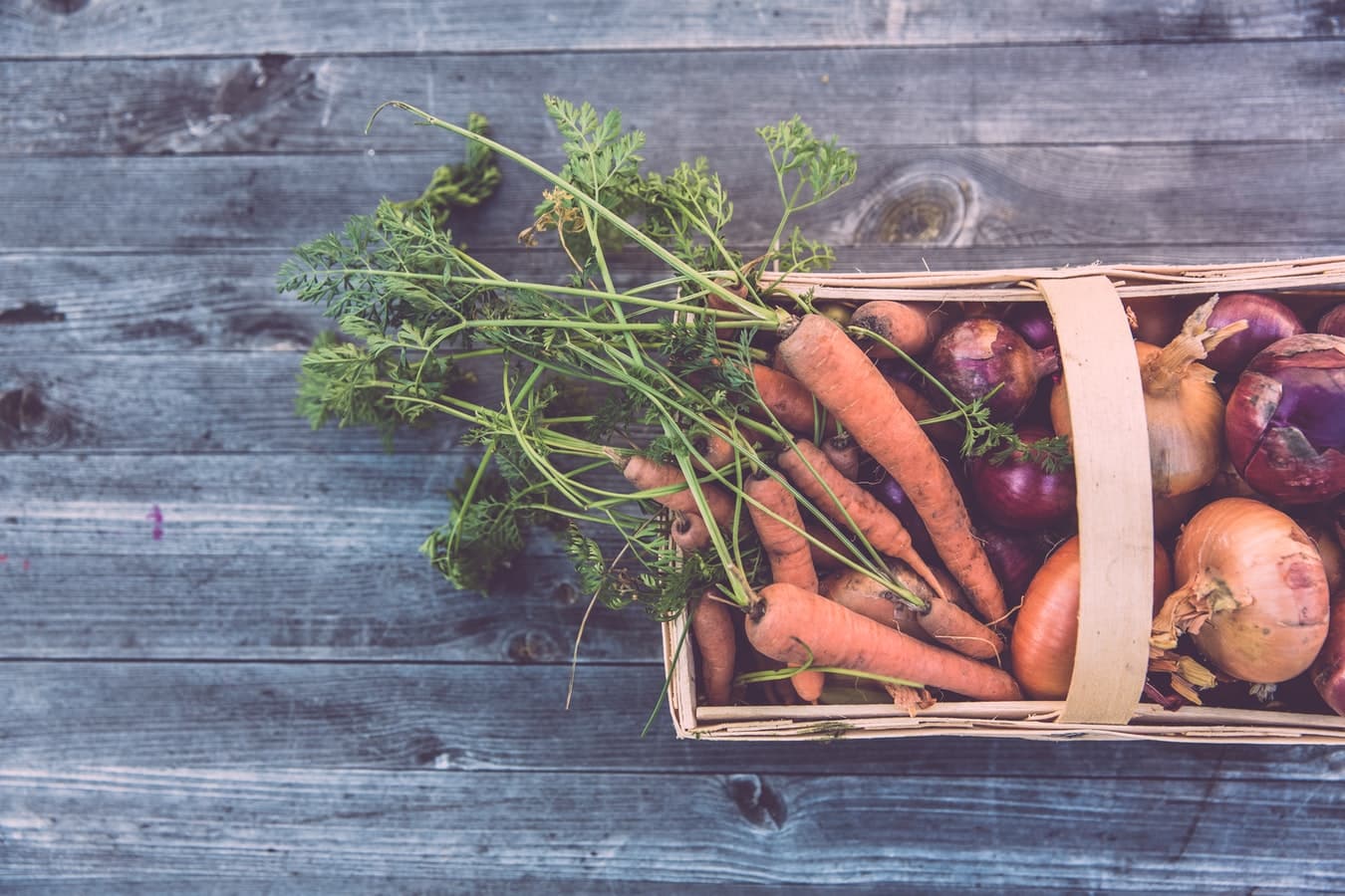 Ce que vous devriez savoir sur les aliments biologiques