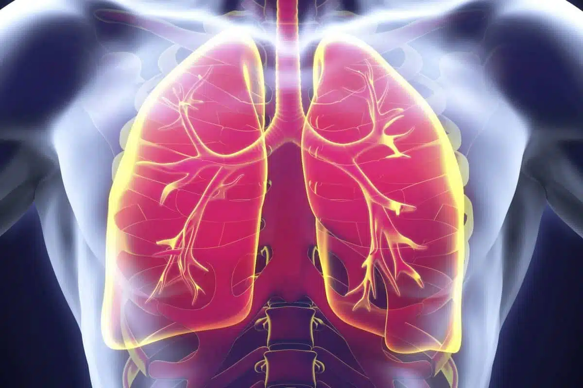 Maladies pulmonaires et leur Traitement