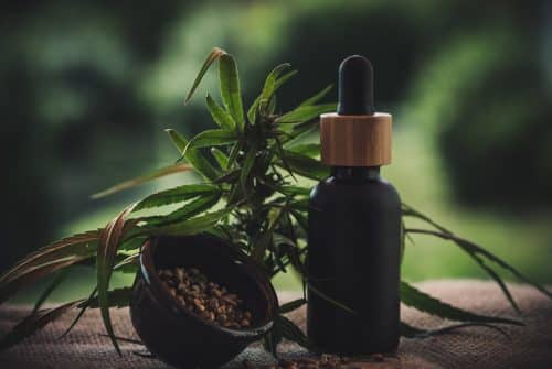 Pourquoi se lancer dans la culture du CBD ?