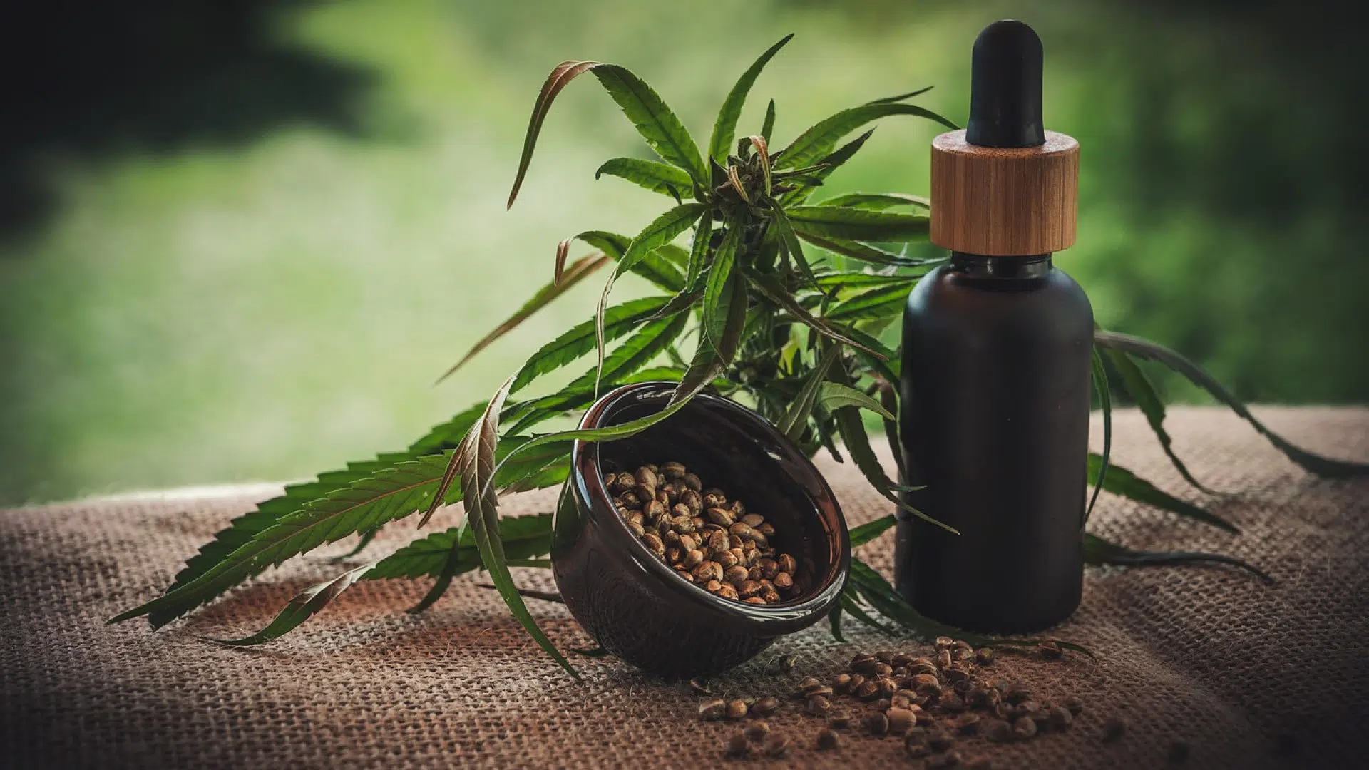 Pourquoi utiliser du CBD pour sa santé ?