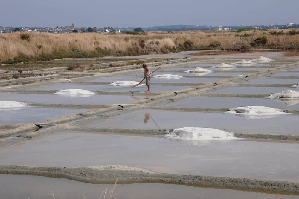 Lugol, pour lutter contre les carences en iodes